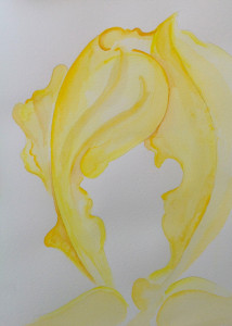 watercolour flower 2   